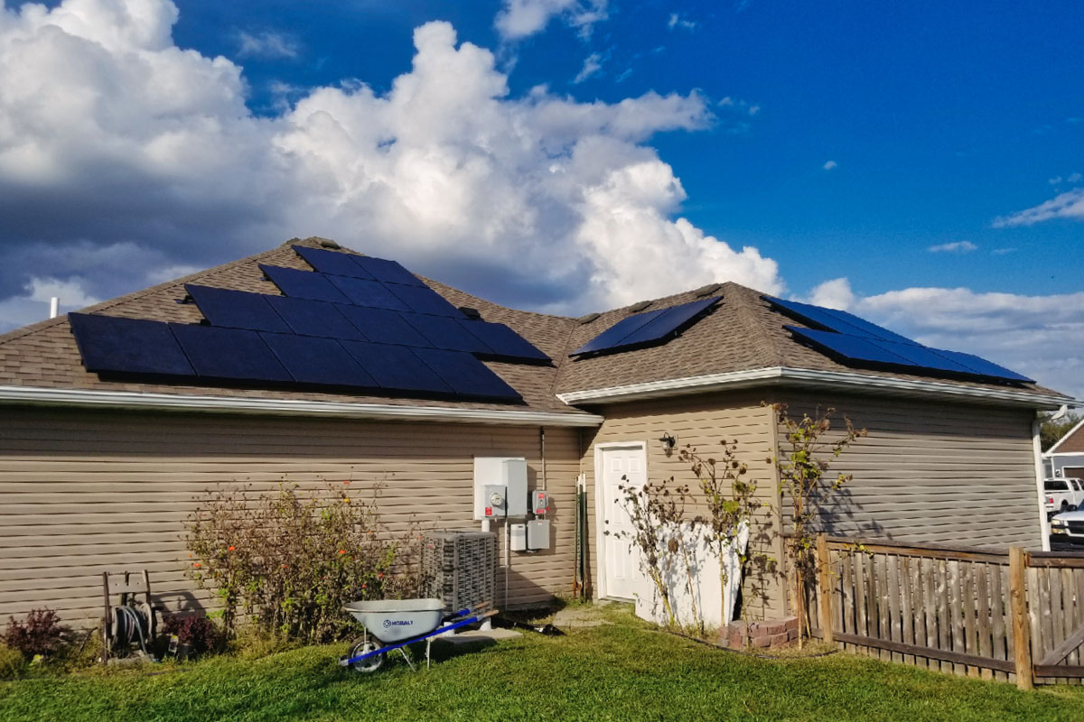Bush-1-web Knob Noster Solar